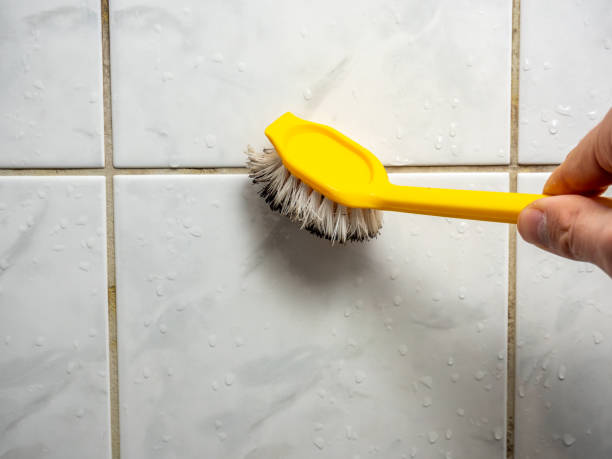 Home Mold Removal in Leesburg, VA