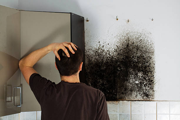 Leesburg, VA Mold Removal Company